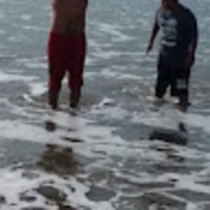 Meet your Posher, Roger